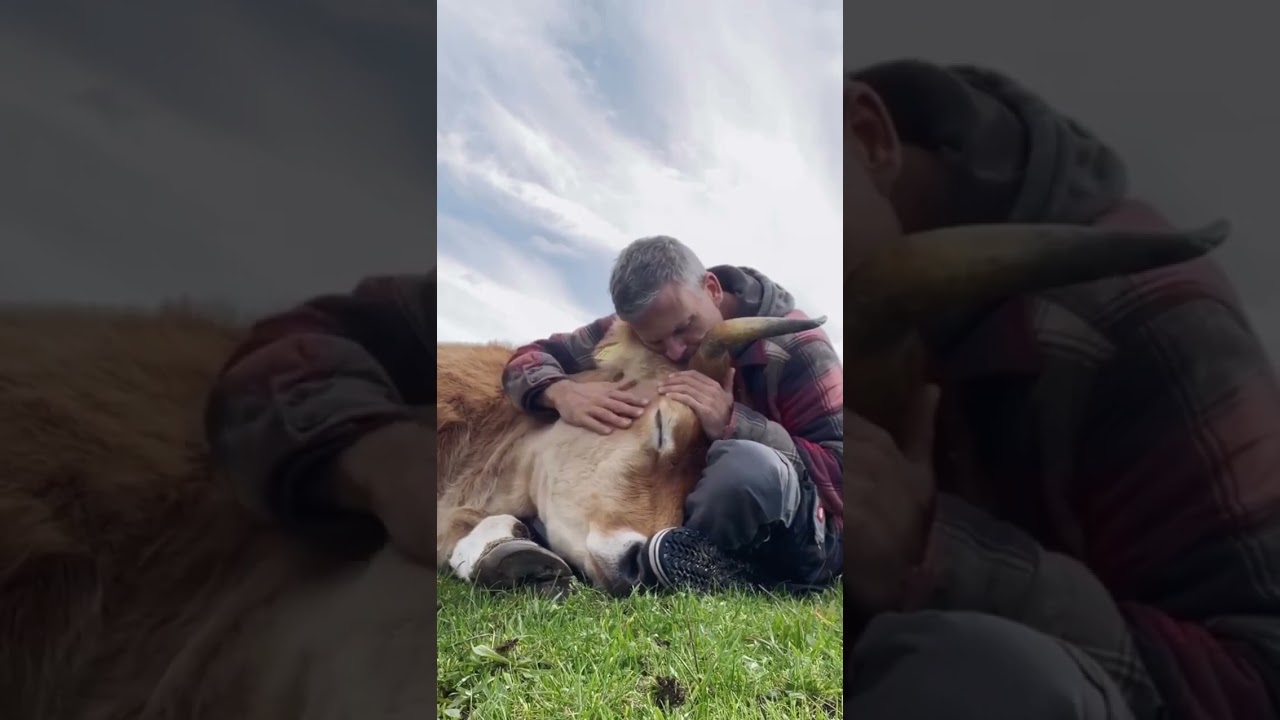 The Surprising Connection Between Animals and Humans 
