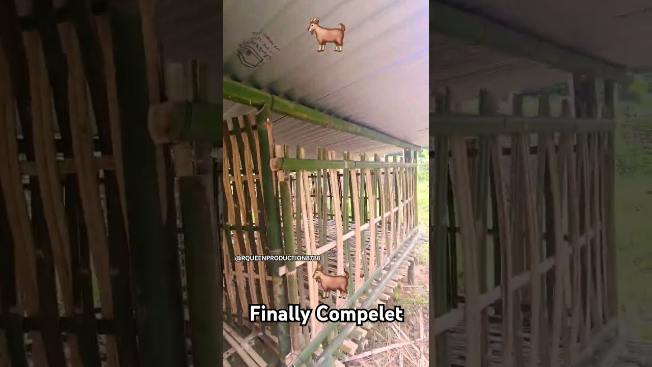 FINALLY COMPELET//GOAT 🐐 HOUSE #