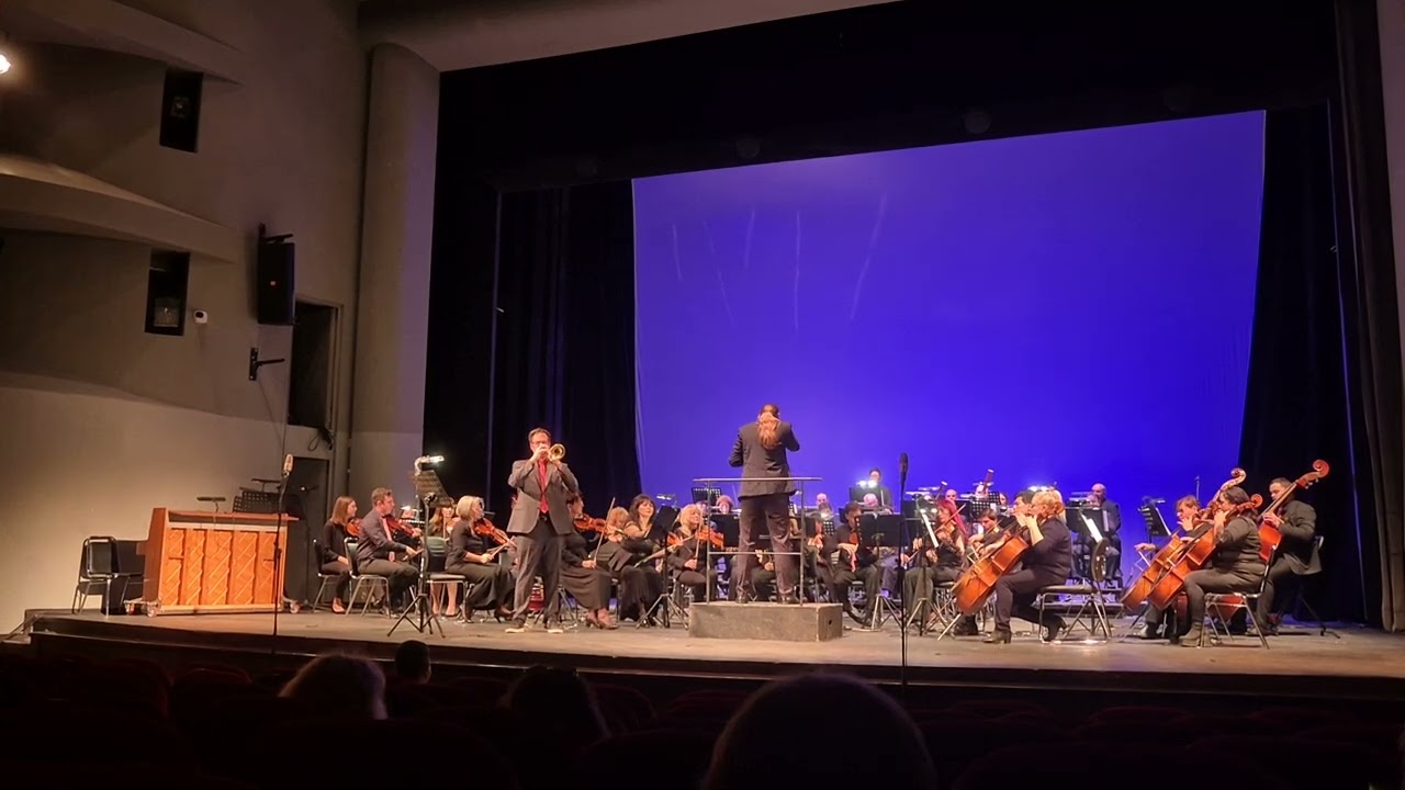 Concerto in f minor - I. Allegro Moderato