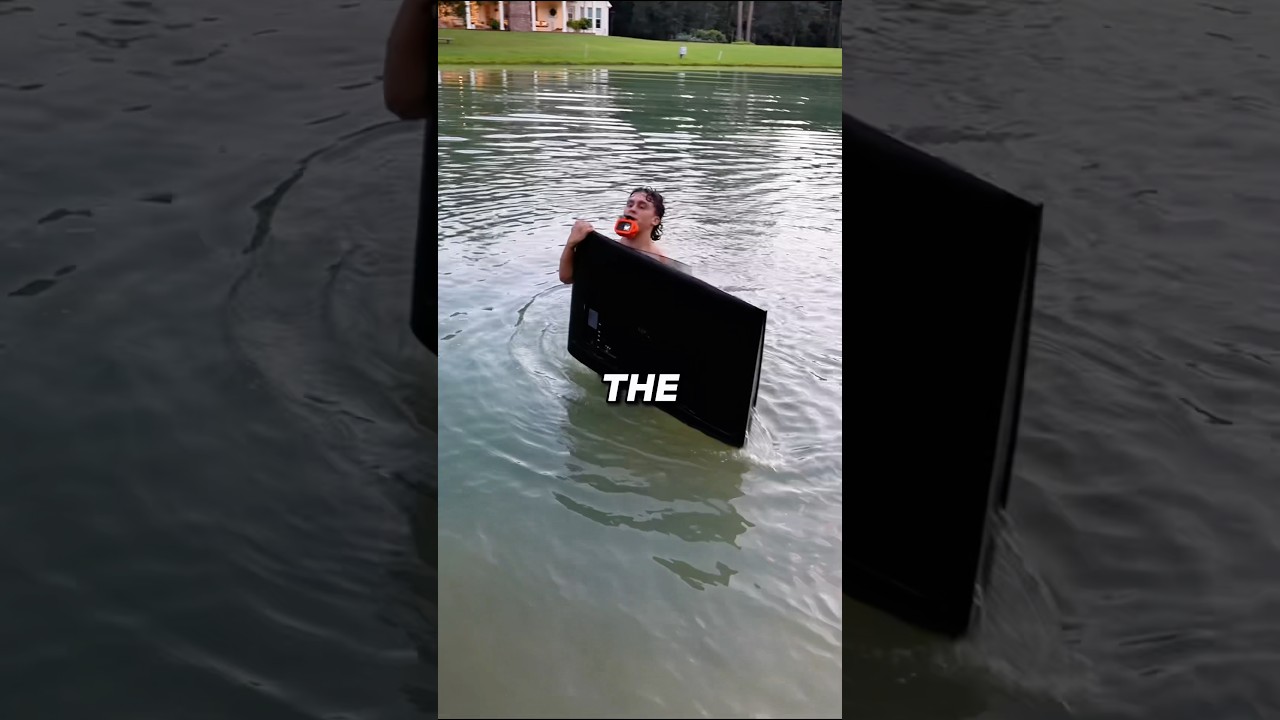 Будет ли он серфинговать!?! - БОЛЬШОЙ ЭКРАН ТЕЛЕВИЗОРОВ!