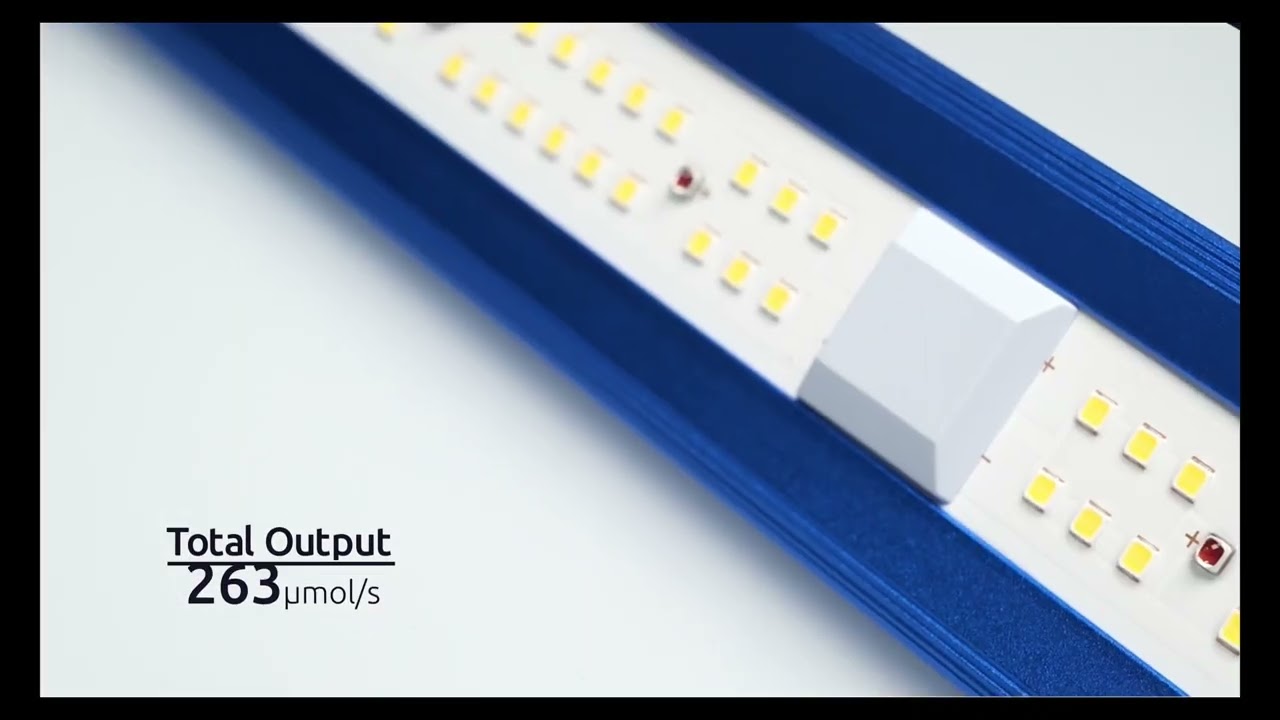 Maxibright DAYLIGHT LED   100W, UV & FAR RED