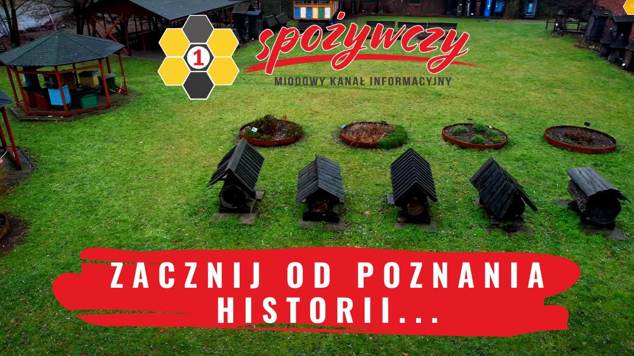 Historia PSZCZELARSTWA w pigułce - Muzeum w Swarzędzu I 1SPOŻYWCZY