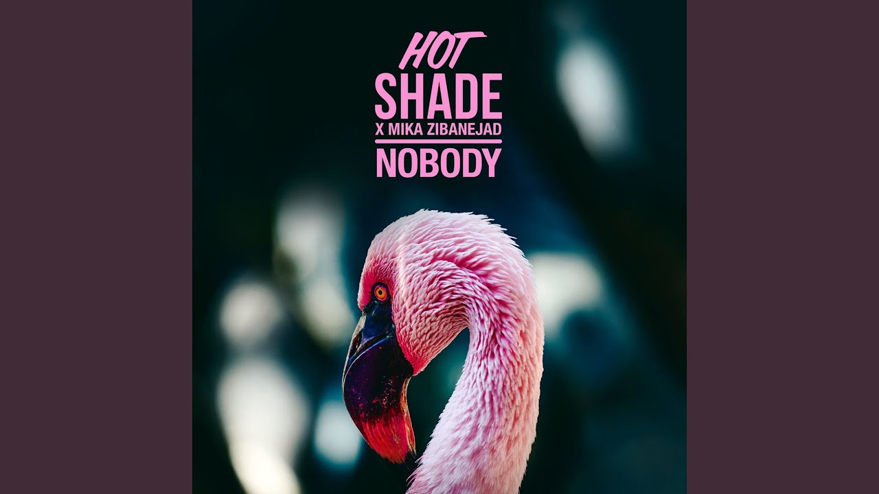 Nobody