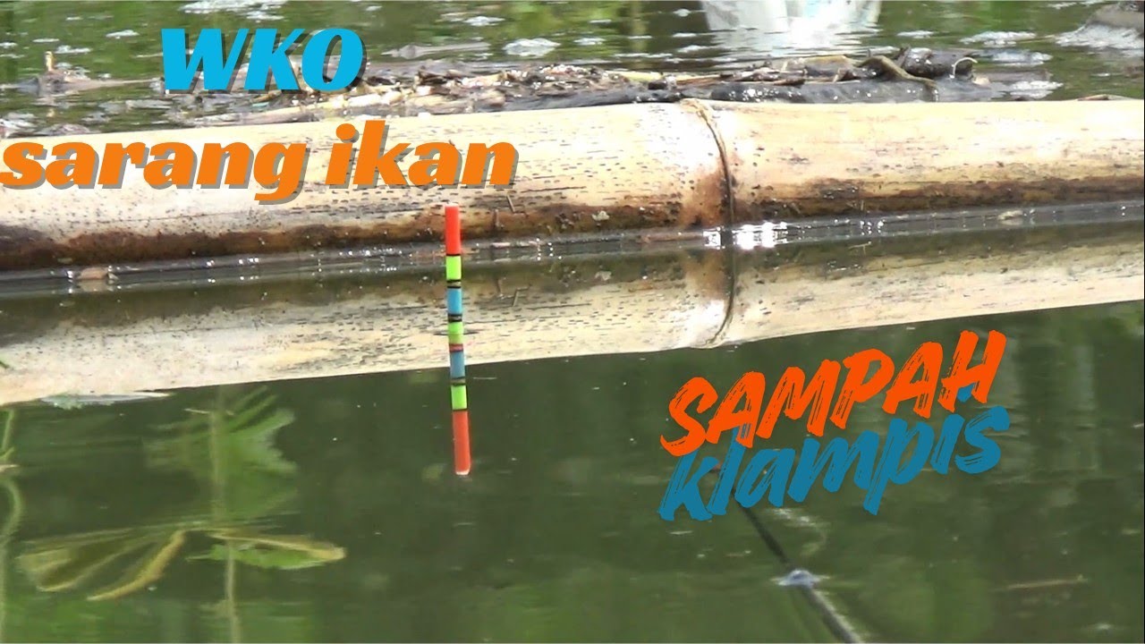 MANCING DI SPOT SAMPAH DAN KLAMPIS‼️ TERNYATA SARANG IKAN NILA #fishing #mancing #fish 