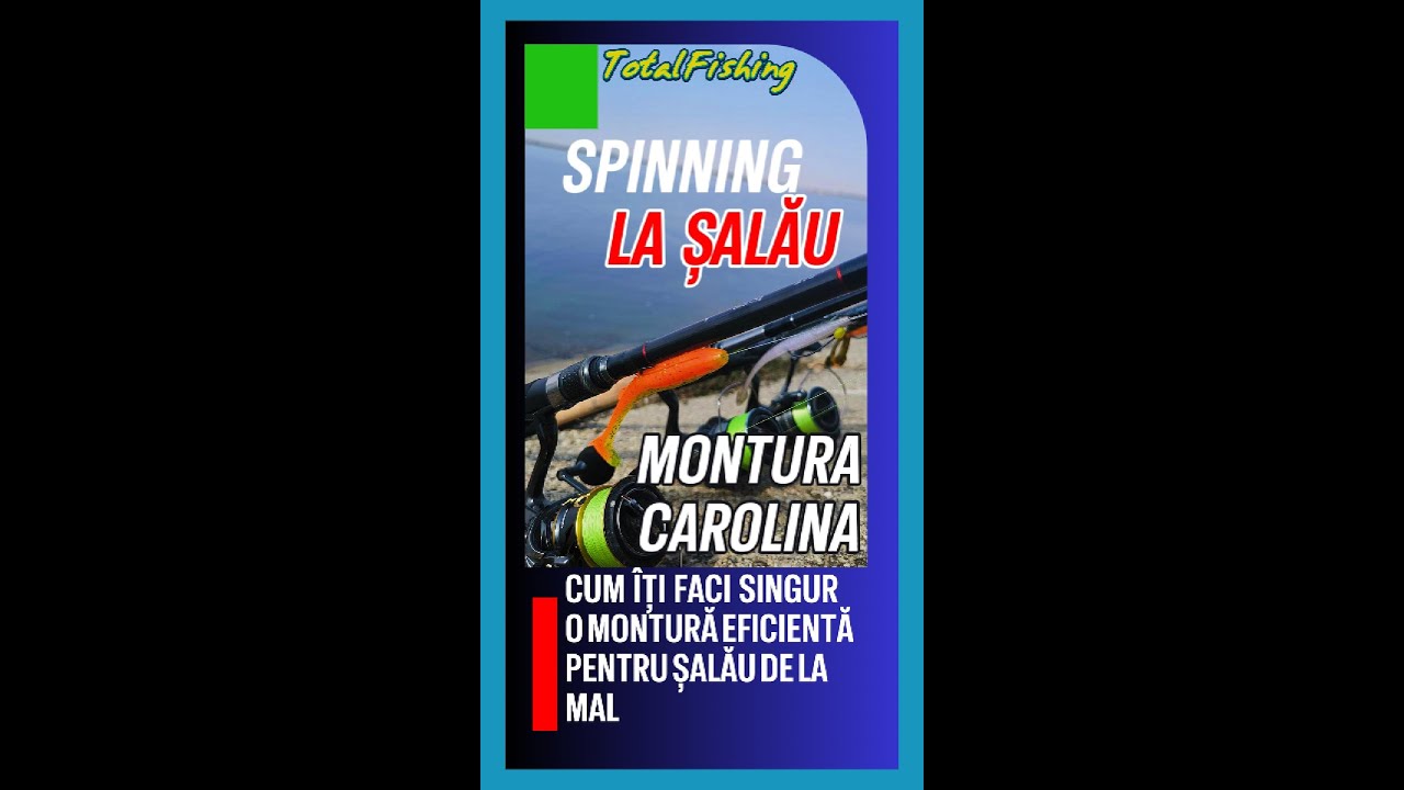 Pescuit la salau: montura Carolina