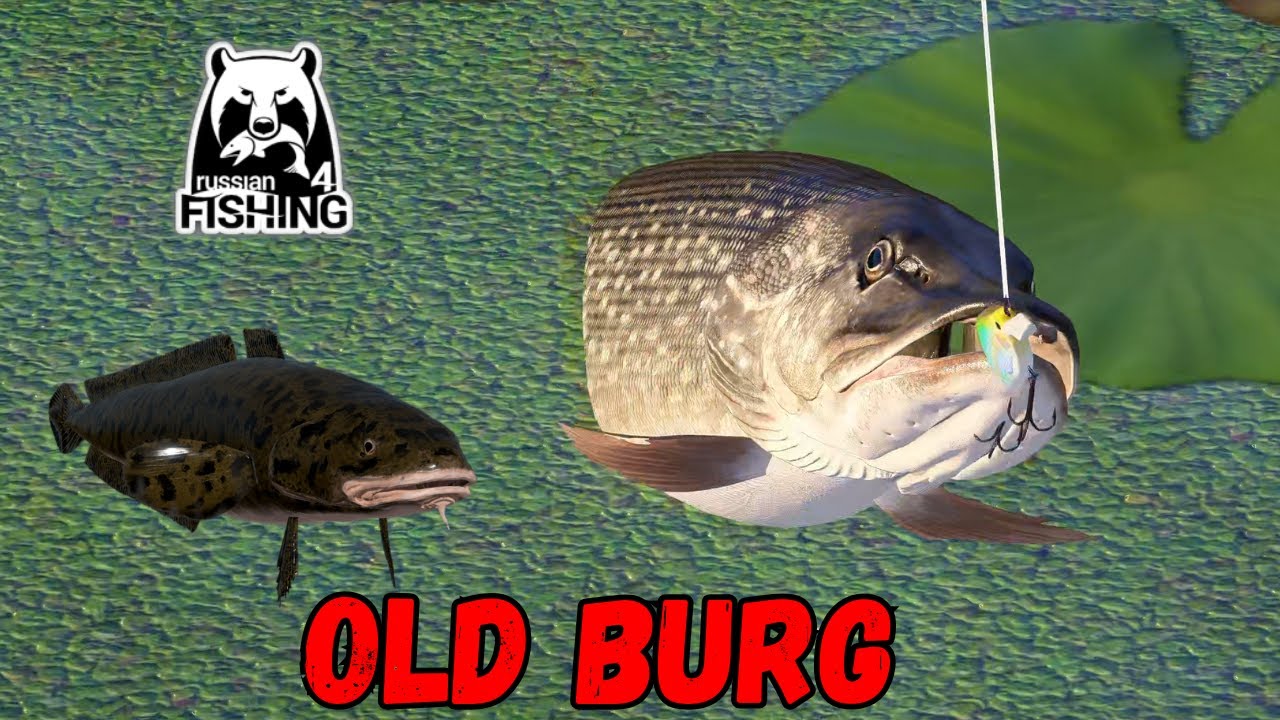 Pike spots Szczupak + Burbot  Old burg  (494) | Russian Fishing 4