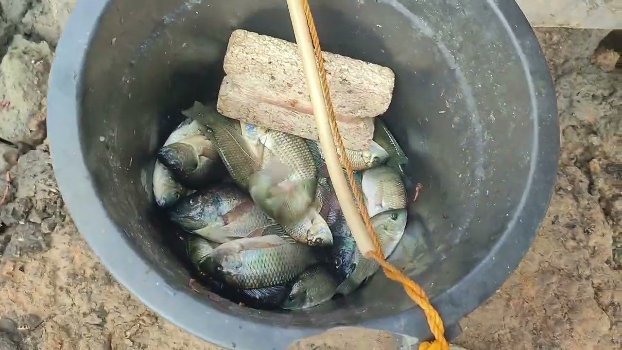 Mas marami pa yung namimiwas kesa sa isda hahah #fypシ #fishing #seafood #simplelife