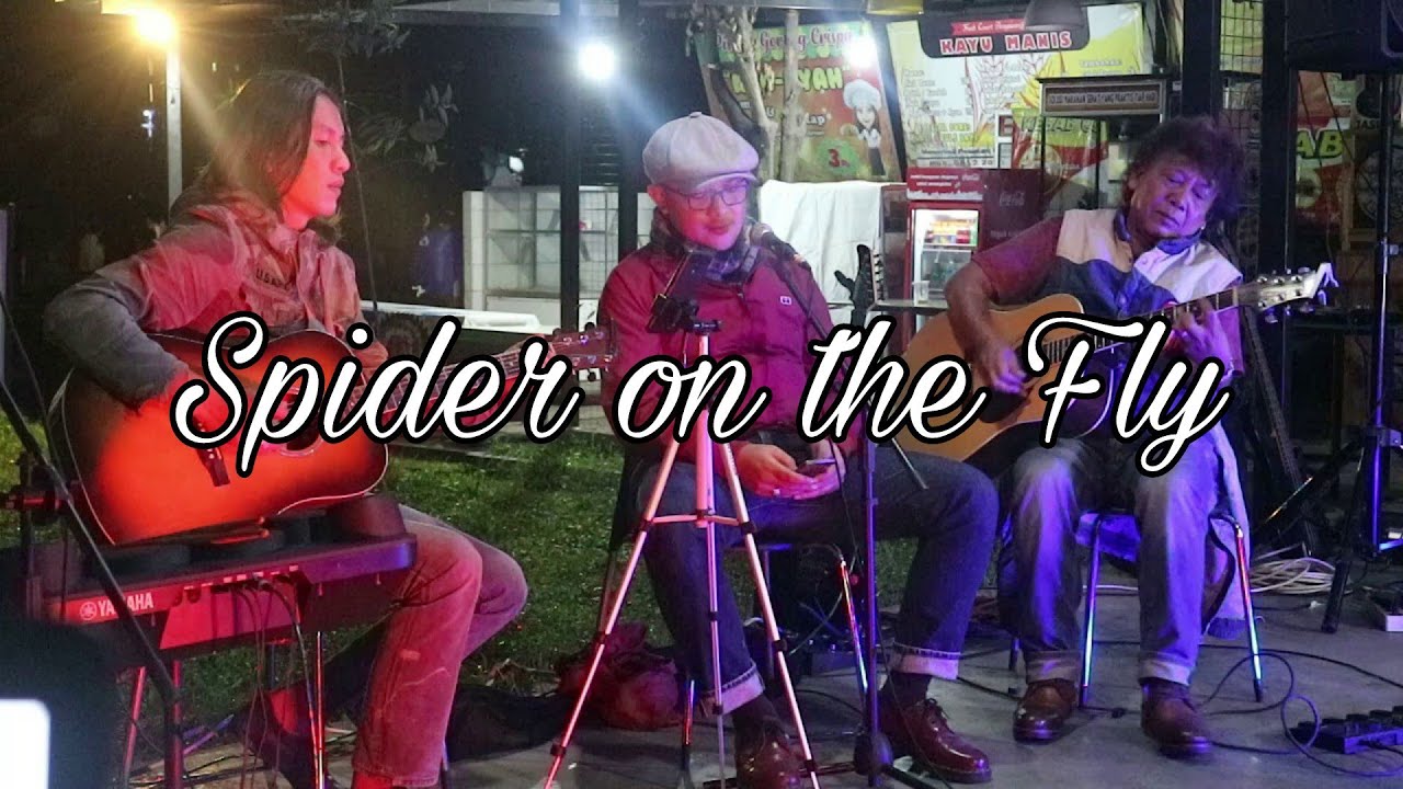 Rolling Stones - Spider and the Fly Cover
