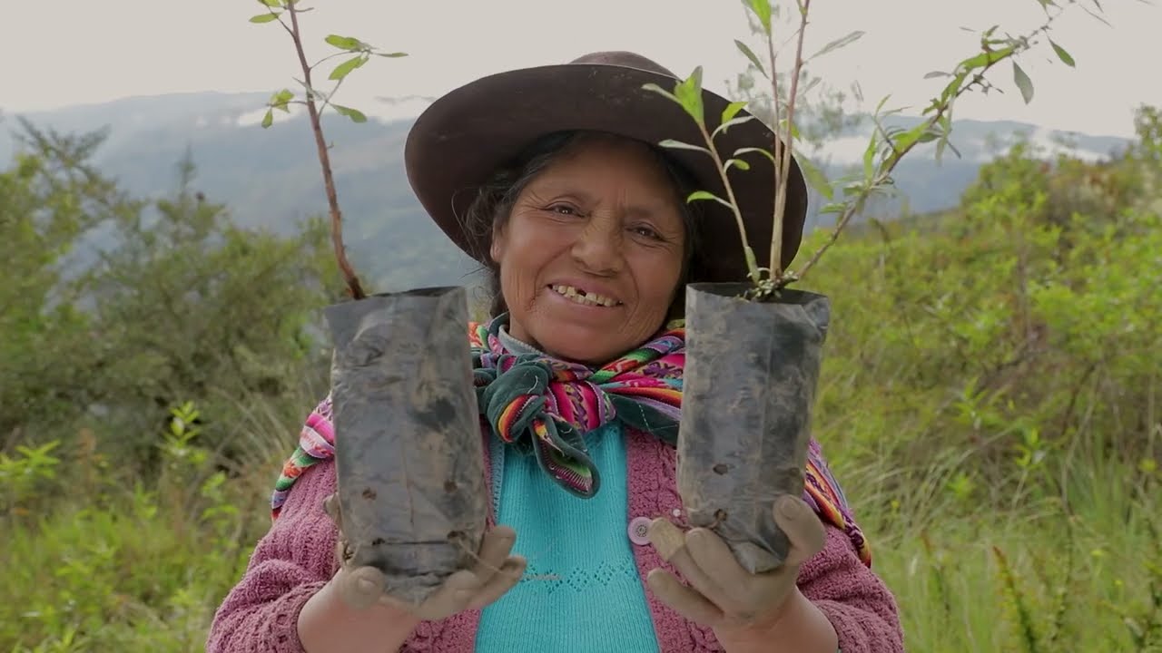 Festival of the Queu&ntilde;a and the Andean Bear