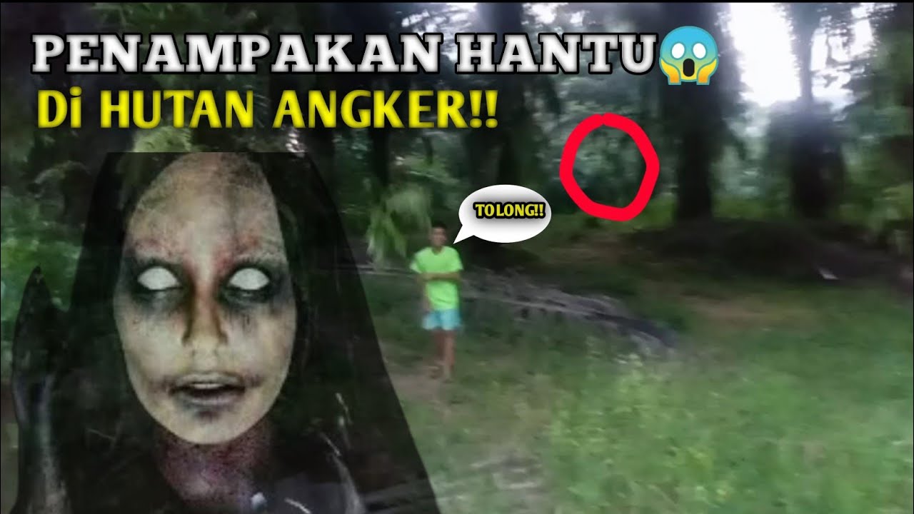PERGI KE HUTAN ANGKER YANG MENGERIKAN😱