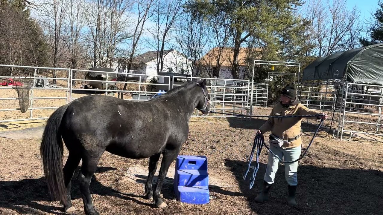 Working with Nyx