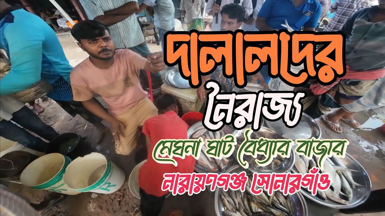 বৈধ্যার বাজার মাছের ঘাট।বৈদ্যের বাজার | Sonargaon Narayanganj | Meghna River | Fish Market