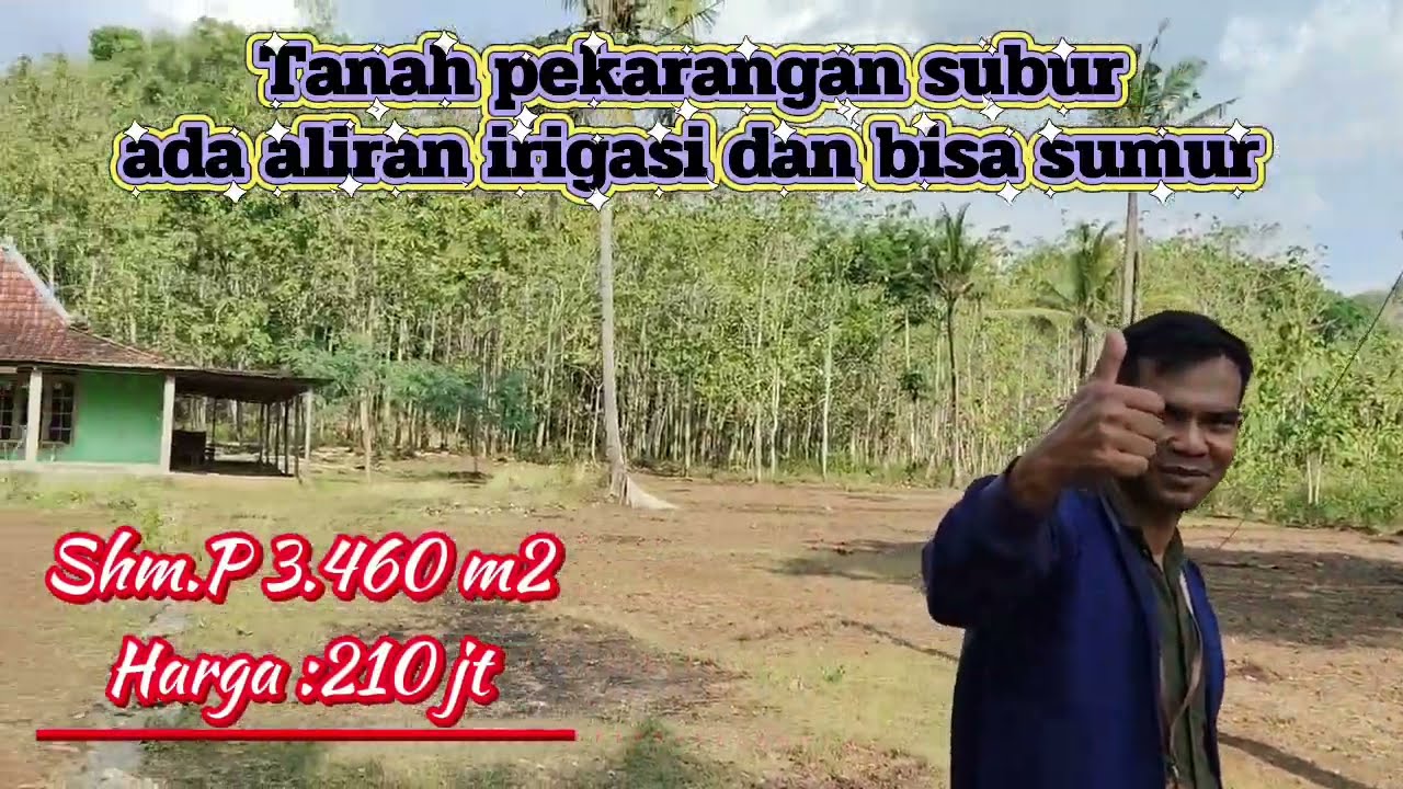 Tanah strategis full datar dan subur dekat Proliman ponjong Gunungkidul 