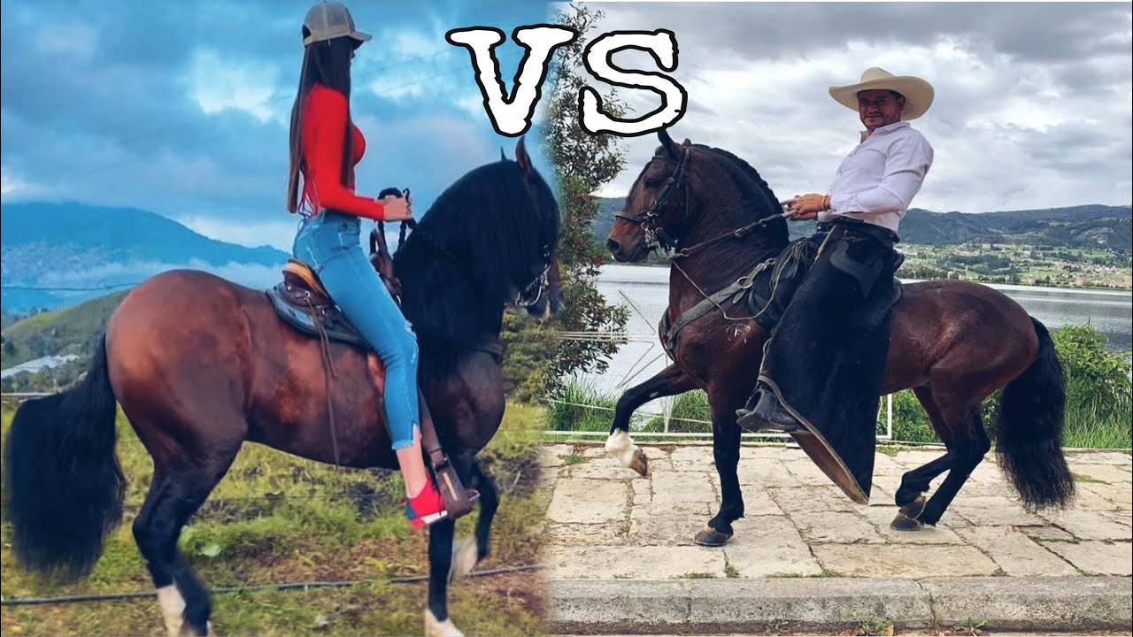 Hombres VS mujeres a las riendas (CABALLOS PASÓ fino)
