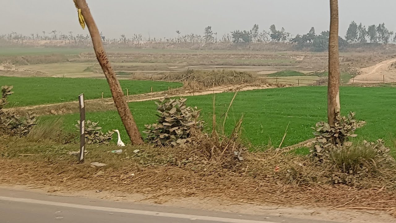 Darbhanga to hayaghat