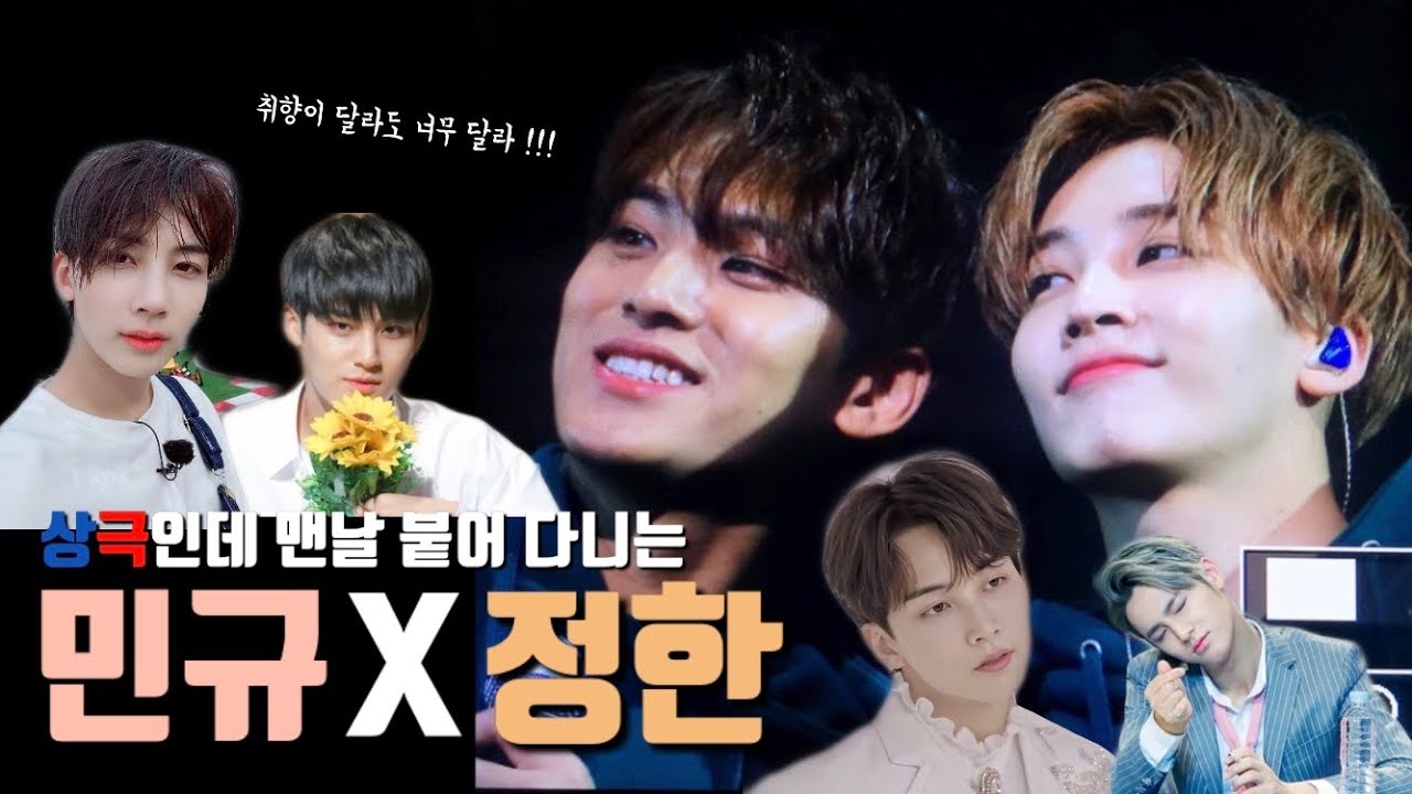 [세븐틴/민규/정한]상극인데 맨날 붙어 다니는 민규X정한 케미 몰아보기