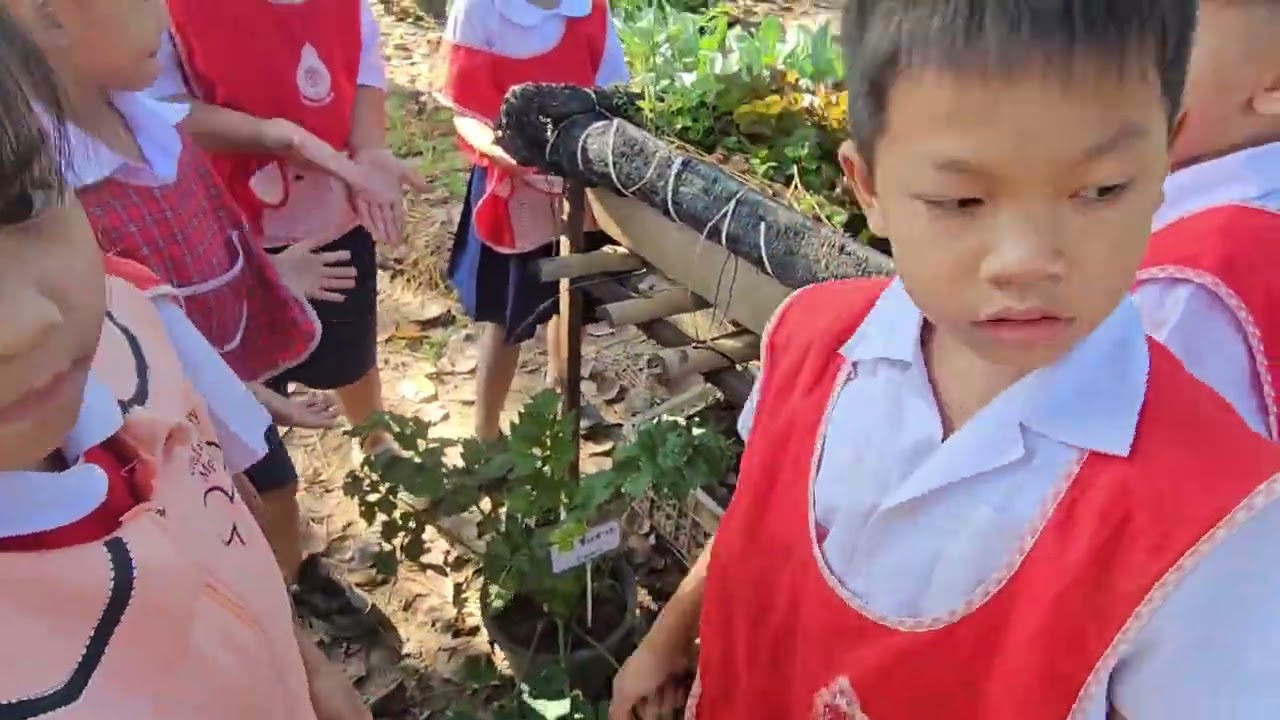 สวนผักอนุบาลจิตศึกษา​โรงเรียน​บ้านโพธิ์​เอน