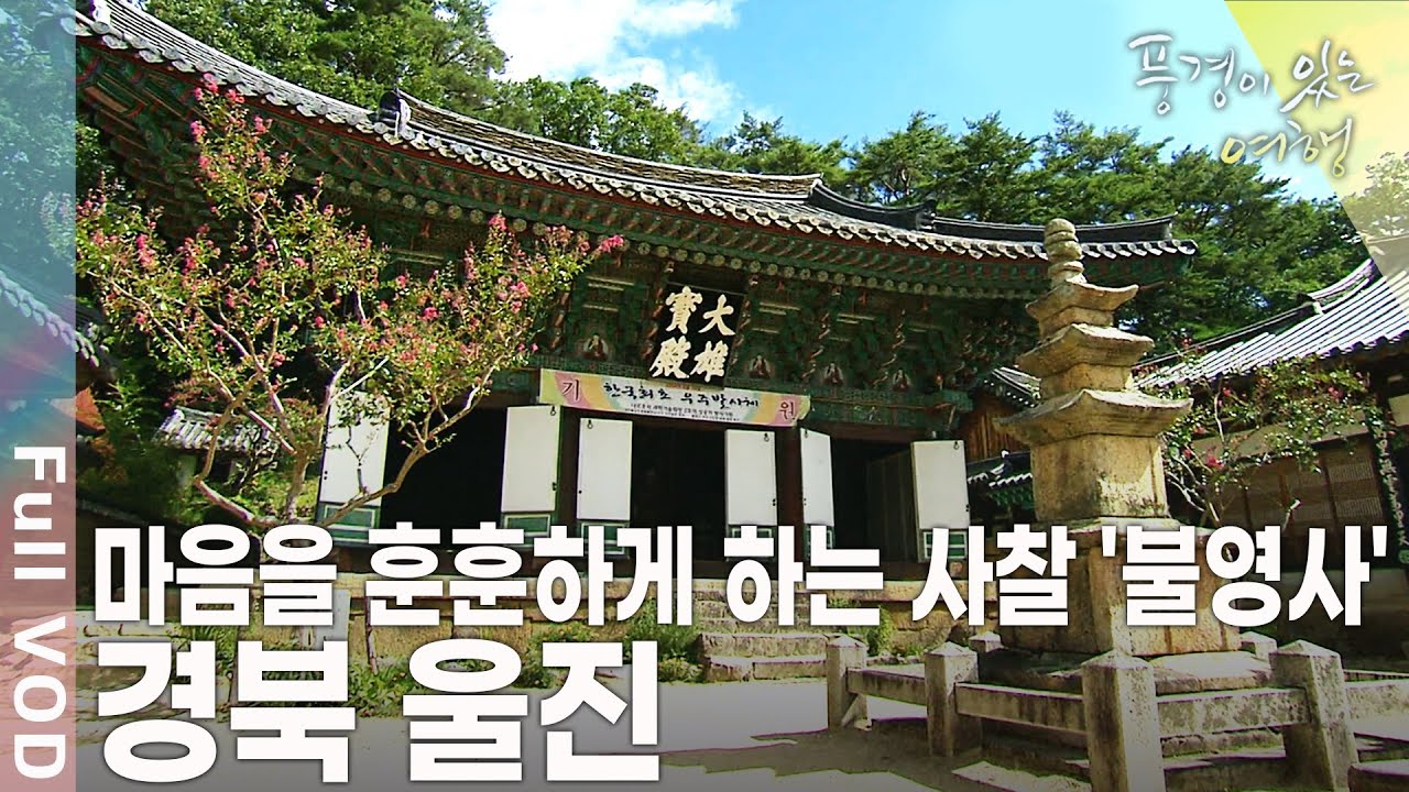 싱그러운 숲의 향기, 가슴속까지 적시는 바다의 몸짓! 산과 바다의 하모니가 들리는 곳 경북 울진으로의 여행 [풍경이 있는 여행 KBS 20090905 방송]