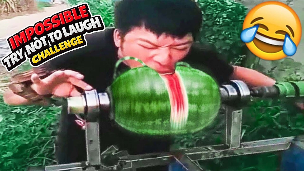 Impossible Try Not To Laugh Challenge 😂