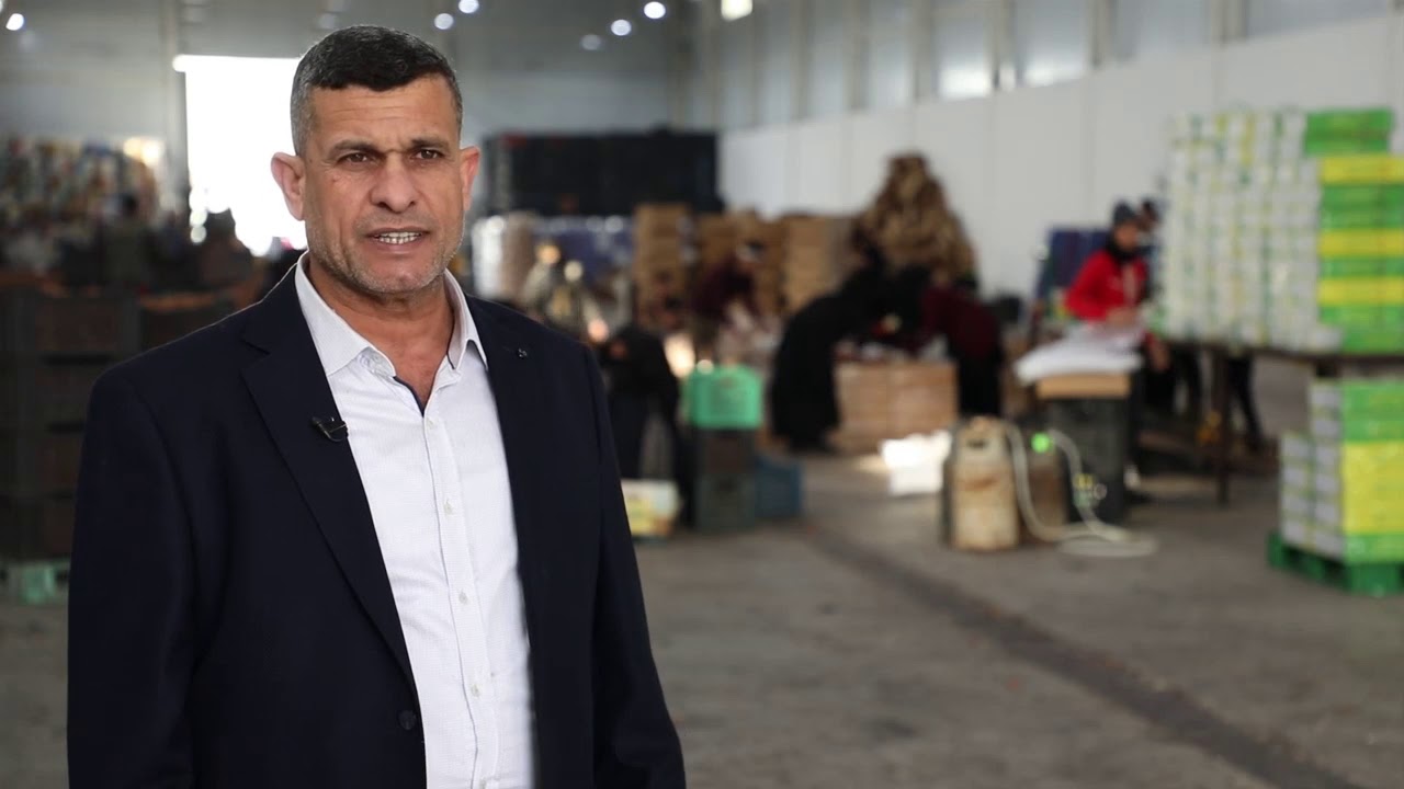 فقرة عن معامل تصدير التمور