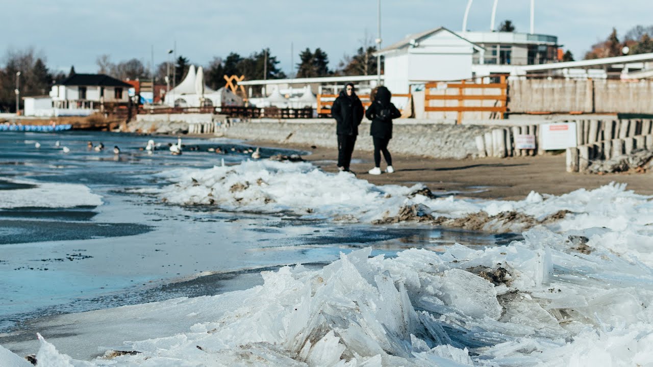 Winter Beach | Lake Velence