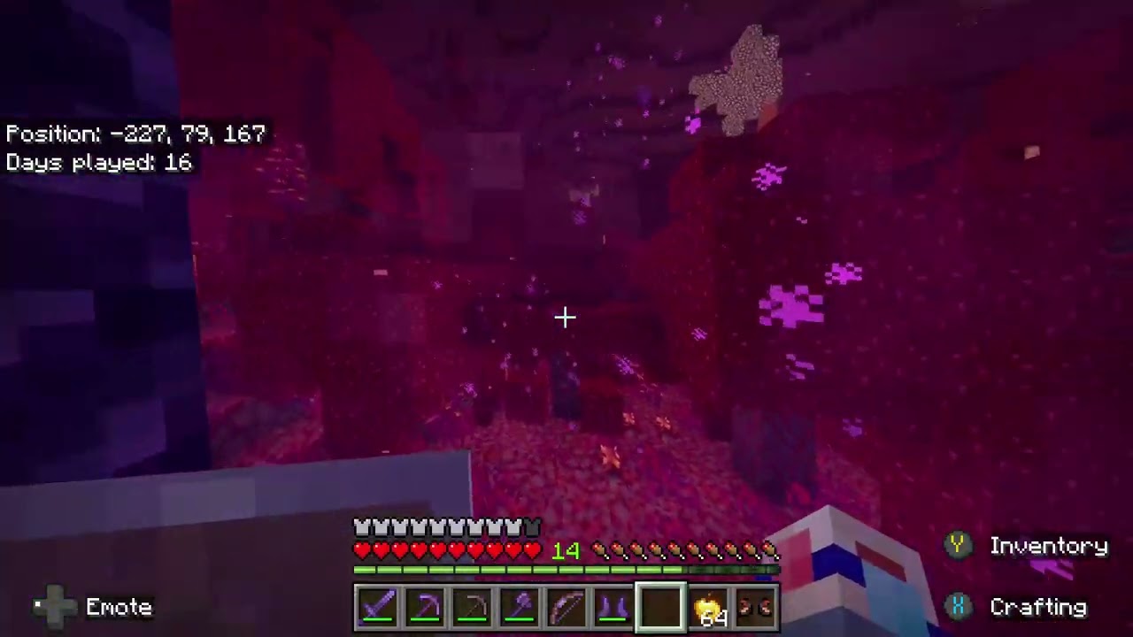 Nether and End (Part 1/13)