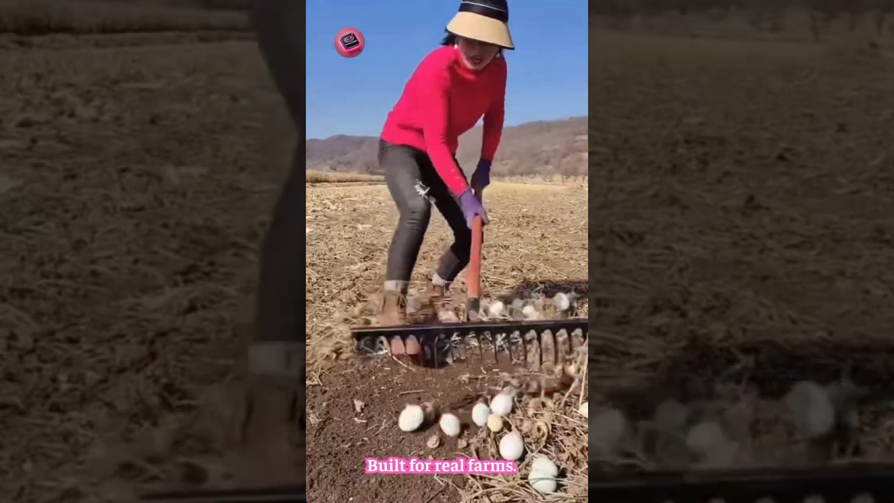 One Iron Tool Handles Straw Raking and Soil Digging with Ease 🌾 
