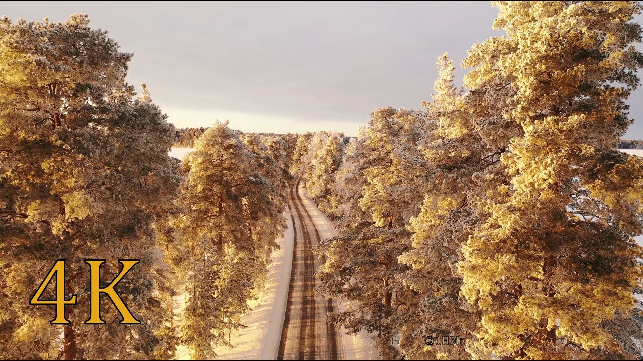 Punkaharjun harjutie The road of the century on a sunny winter day 4K UHD