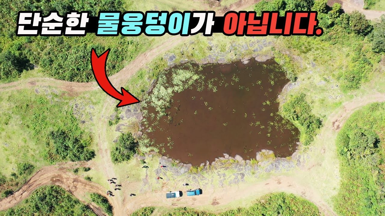 평범한 웅덩이인줄 알았더니... 이 습지가 세계적인 천문학적 가치로 인정받은 이유! [생도다큐]