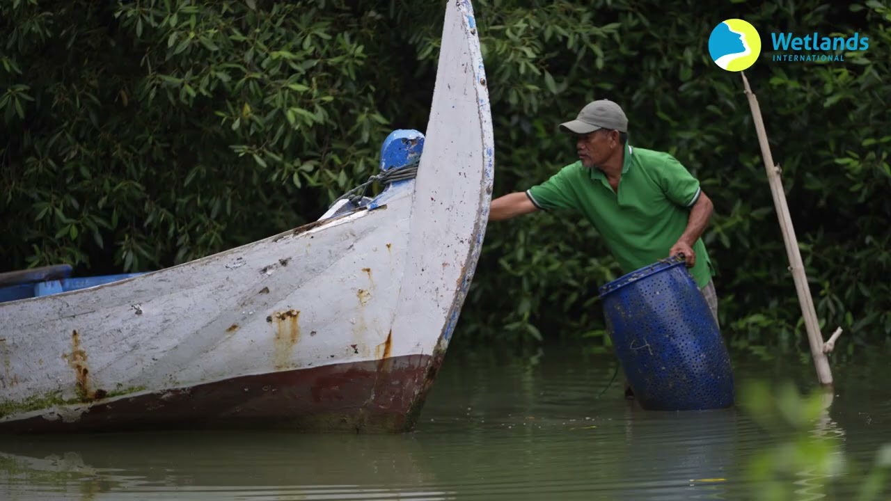 Associated Mangrove Aquaculture in Indonesia
