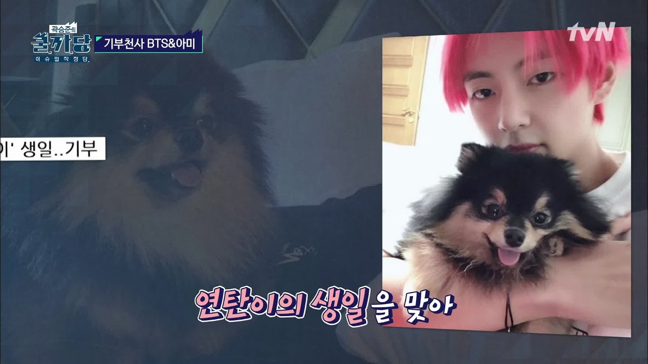 [BTS특집] BTS와 아미의 특별한 팬덤 문화 #기부 #곽승준의쿨까당 | COOLKKADANG EP.380 | tvN 201007 방송