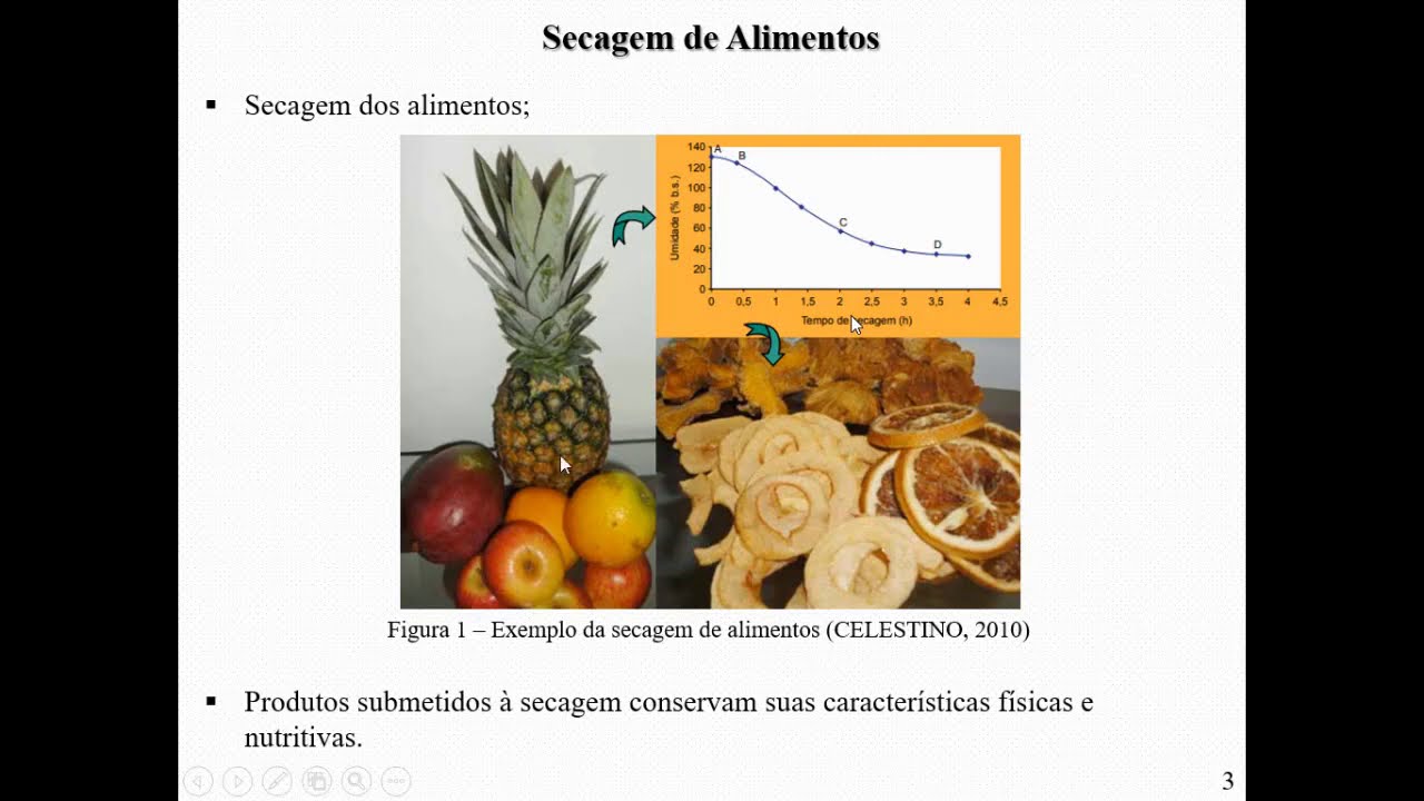 Opera&ccedil;&atilde;o de secagem - Efeito da secagem em alimentos