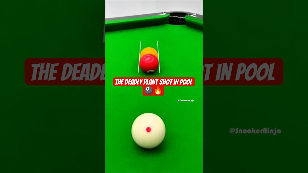 Insane Plant Shot in Pool #8ballpool #pool #billiards #snooker #trickshots #shorts #gamtng #viral