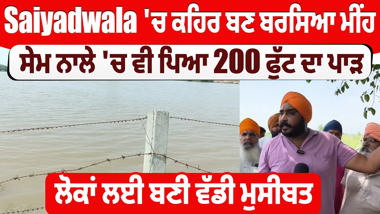 Saiyadwala 'ਚ ਕਹਿਰ ਬਣ ਬਰਸਿਆ ਮੀਂਹ, ਸੇਮ ਨਾਲੇ 'ਚ ਵੀ ਪਿਆ 200 ਫੁੱਟ ਦਾ ਪਾੜ, ਲੋਕਾਂ ਲਈ ਬਣੀ ਵੱਡੀ ਮੁਸੀਬਤ