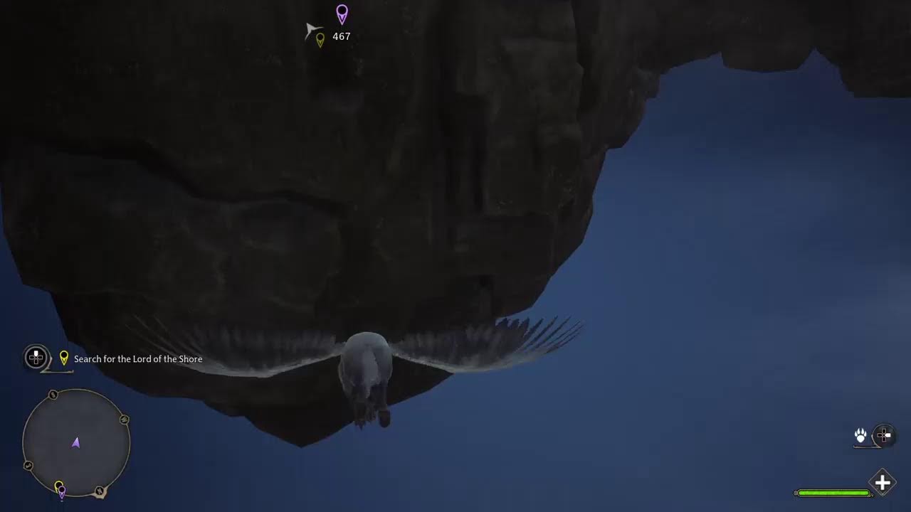 Highwing Out Of Map Glitch Hogwarts Legacy (Viking Trini Satan)