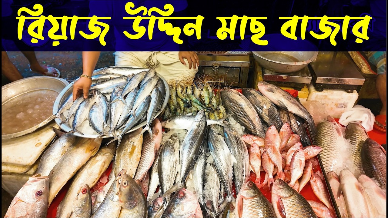 রিয়াজ উদ্দিন বাজার | Riaz Uddin Bazar | মাছ বাজার | Chattogram | Krishi Vlog | Channel Krishi