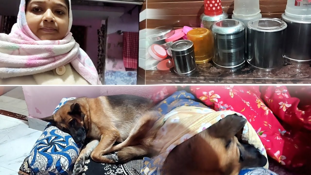 অনেক দিন পর আজ ছেলে বাড়ি🏡 ফিরে এলো❤❤❤❤❤❤