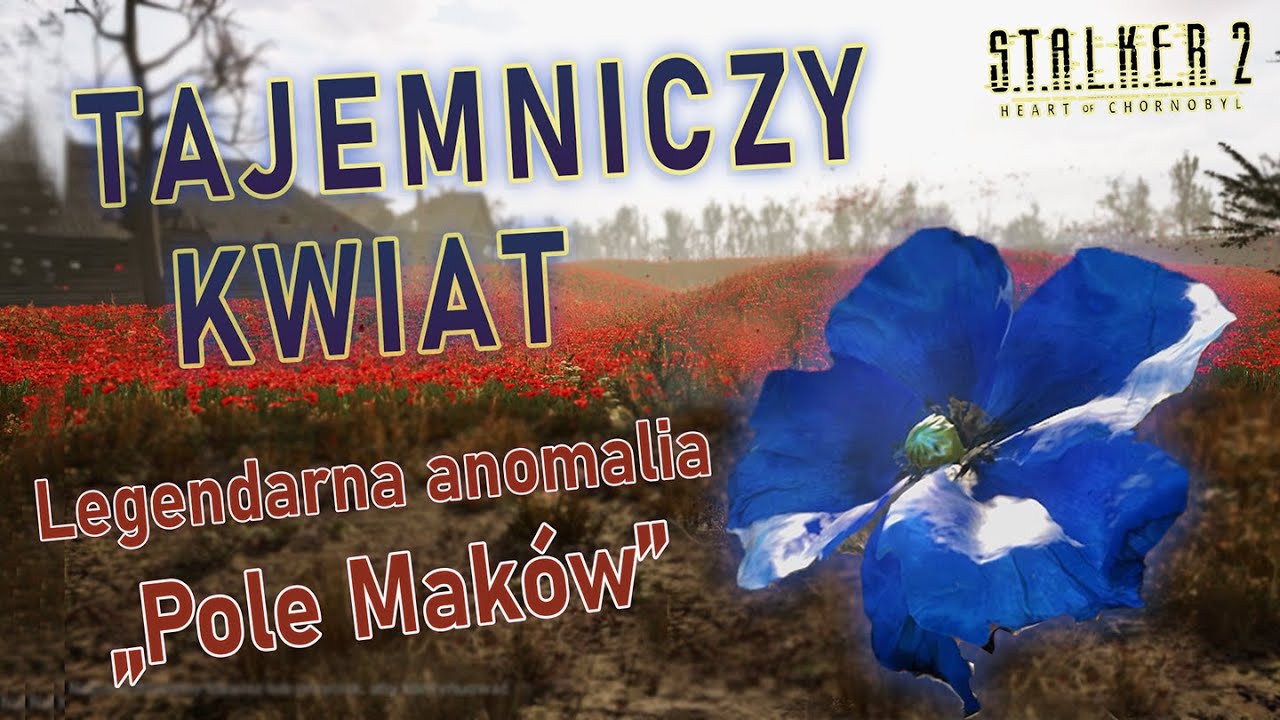 TAJEMNICZY KWIAT | PORADNIK | POLE MAK&Oacute;W | LEGENDARNA ANOMALIA | STALKER 2: Heart of Chornobyl