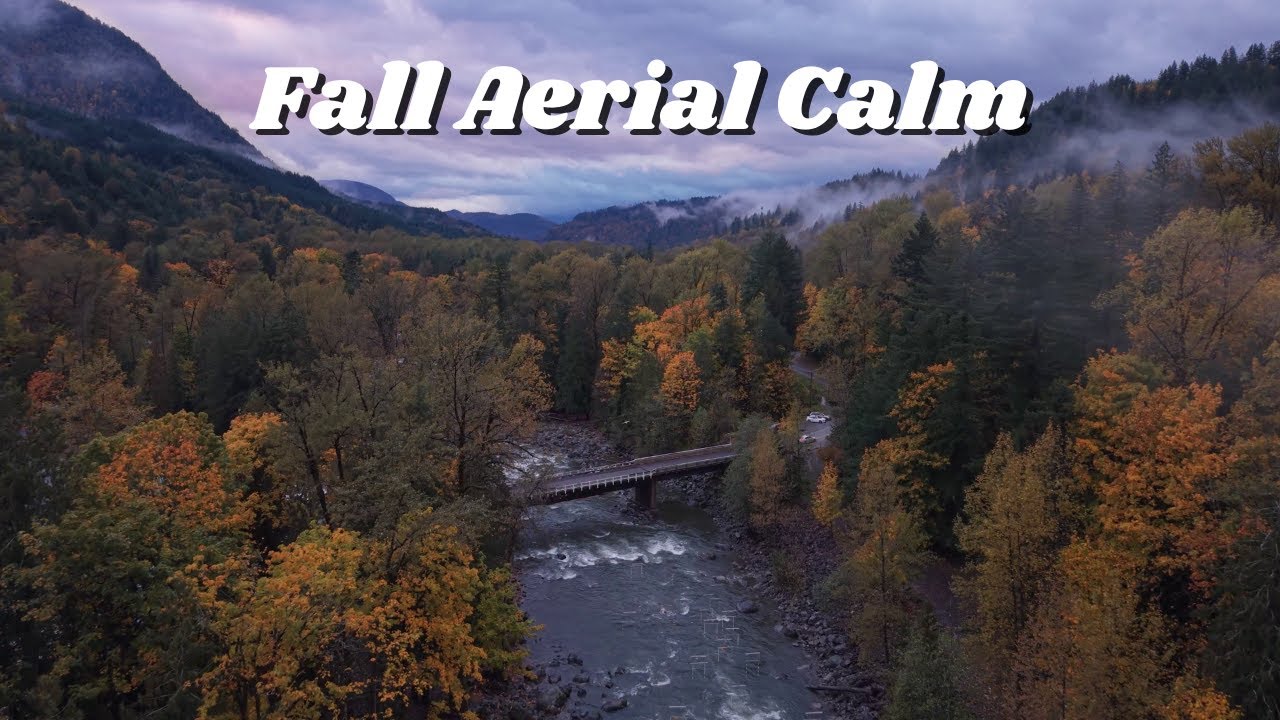 Peaceful Fall Aerial Views 🍁| Relaxing Drone Footage - Chilliwack River Valley