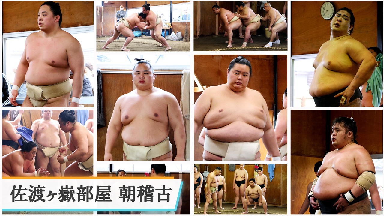 佐渡ヶ嶽部屋朝稽古＜令和８年三月場所前＞SUMO