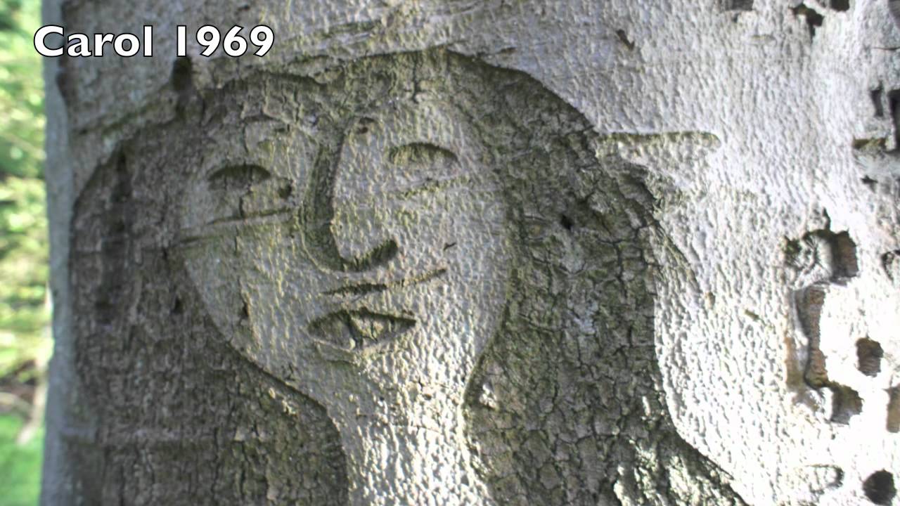 Tree Carving near 16th Century Castle ruin