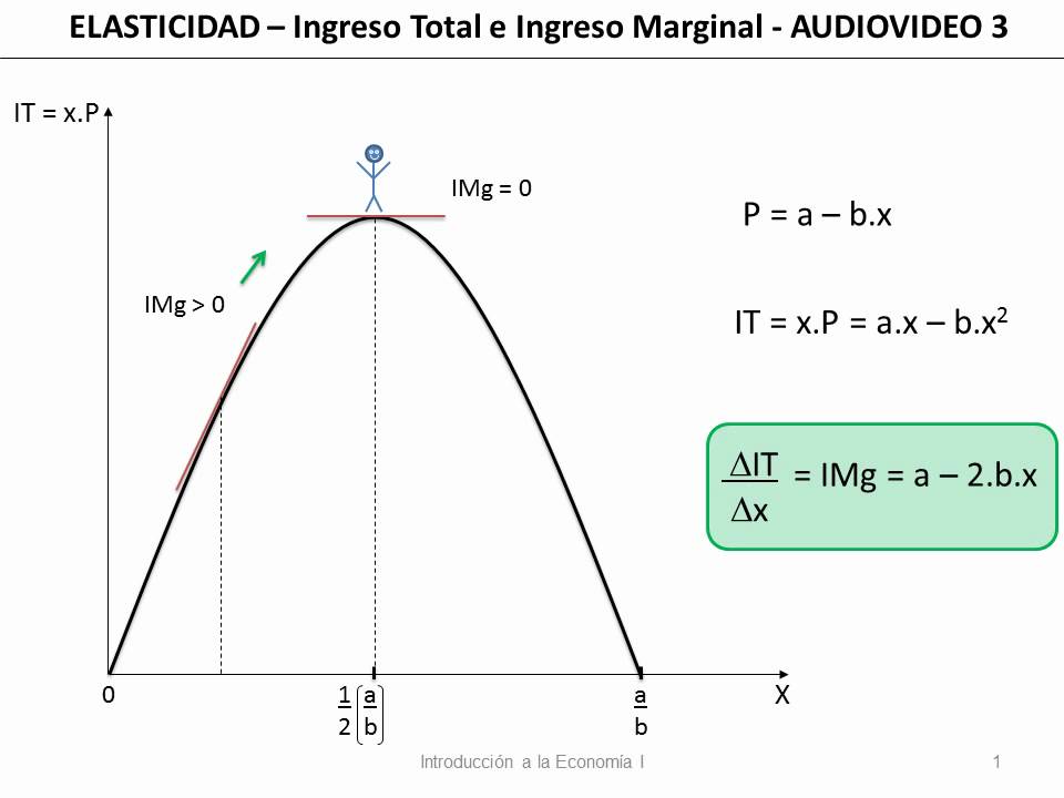 20 Elasticidad  Ingreso Total e Ingreso Marginal