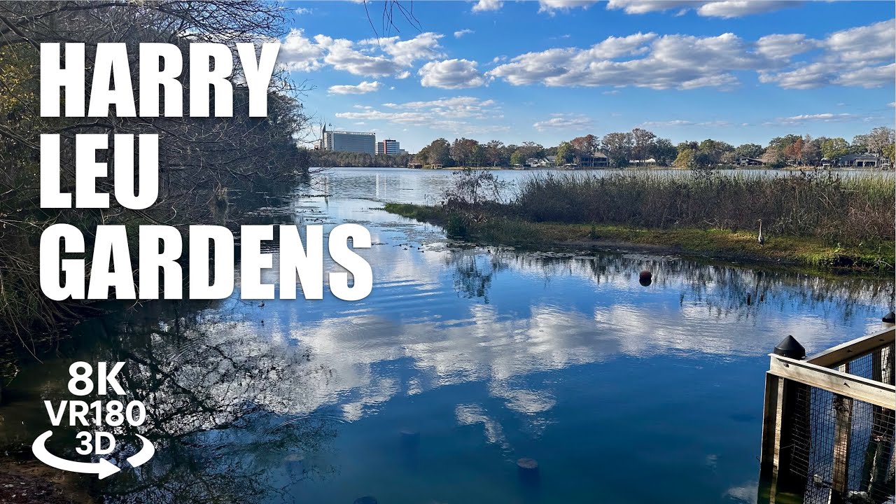 Harry P. Leu Gardens Downtown Orlando VR180 3D Botanical Gardens, Lake Rowena Florida VR视频 3D動画 VR旅行
