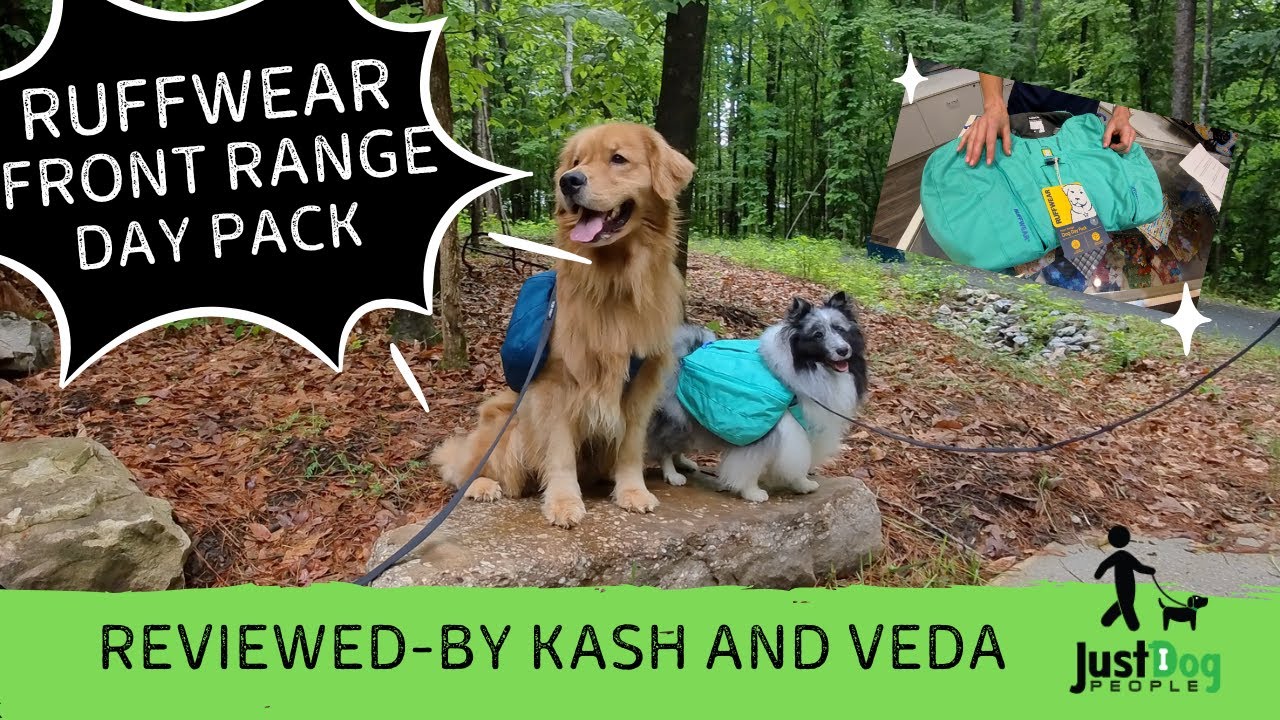 Just Dog People | Ruffwear Front Range Day Pack Test with Veda and Kash