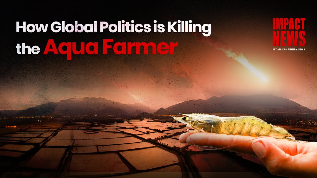 IMPACT NEWS : Middle East War Creates Crisis for India’s Seafood