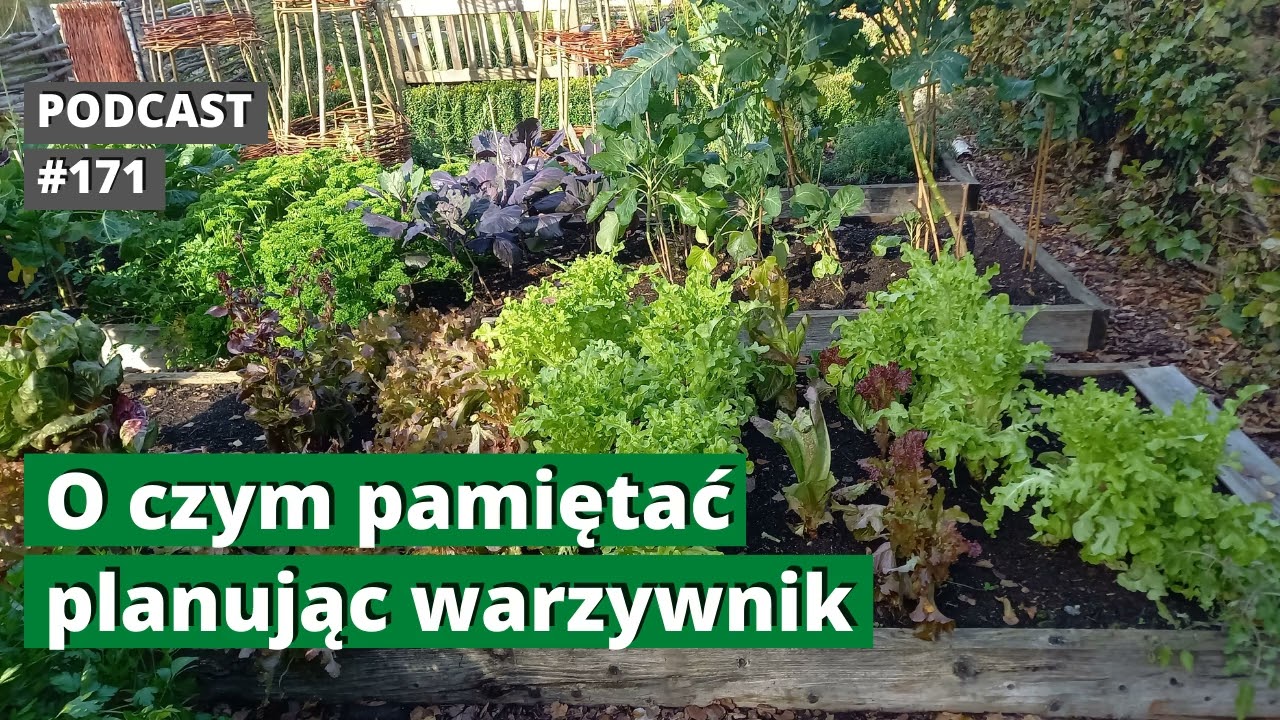 NoO 171. O czym pamiętać planując warzywnik