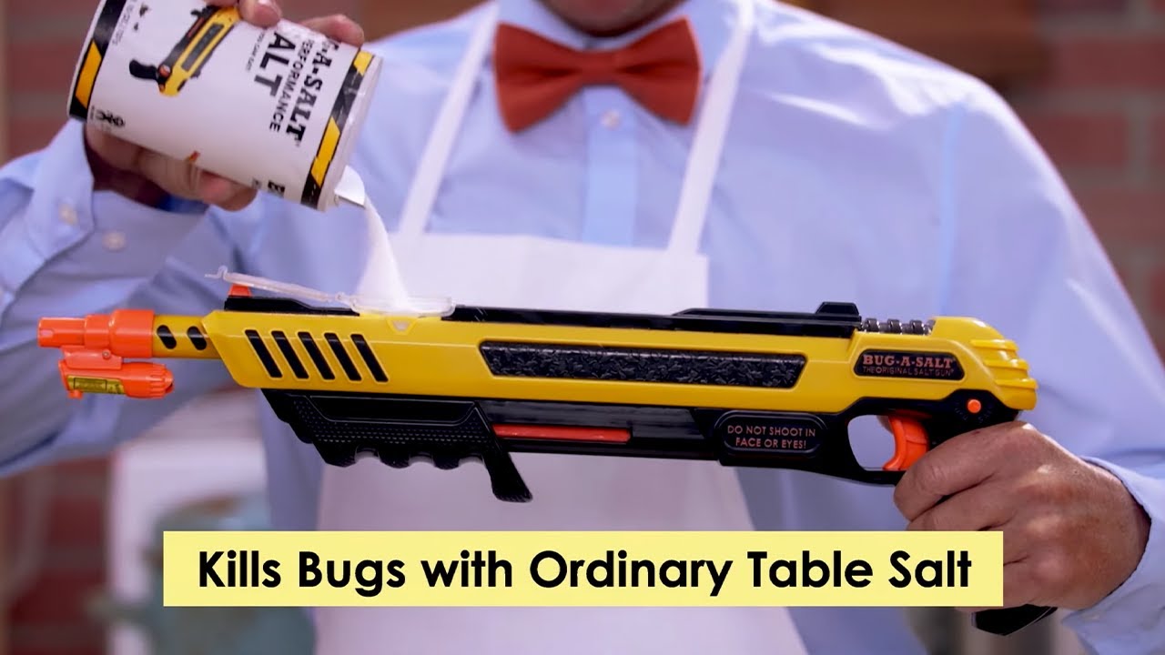 BUG-A-SALT 3.0! Стреляй своей мухобойкой!