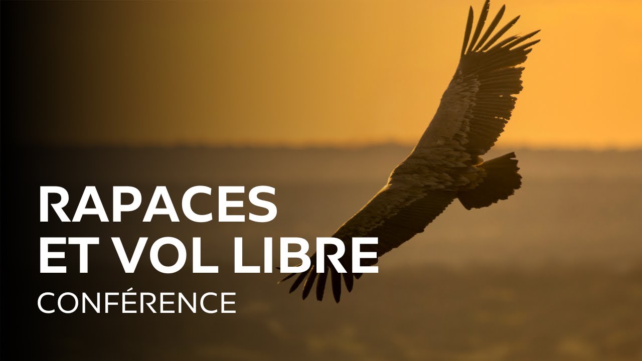 CONFÉRENCE 