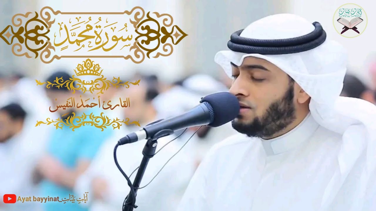 سورة محمد _ احمد النفيس