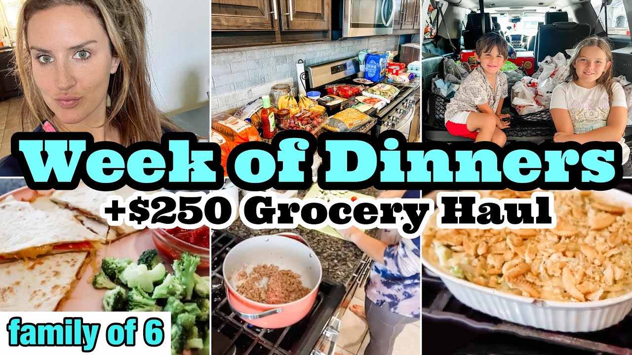 WEEK OF DINNERS ($15 OR LESS!) + WEEKLY GROCERY HAUL ON A $250 BUDGET || LARGE FAMILY OF 6